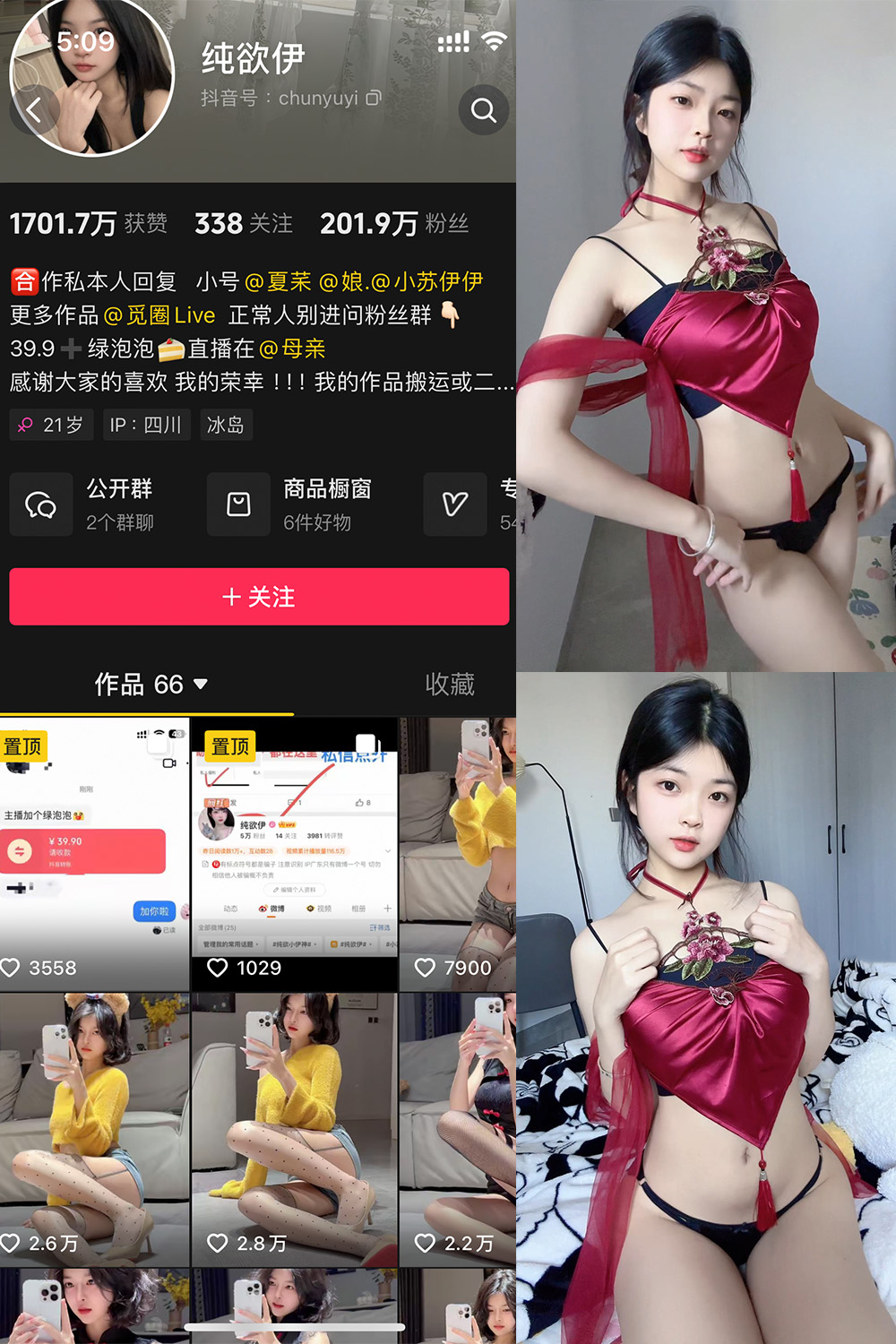 抖音 纯欲伊 微密圈  NO.013期 【30P】-漫天菊花