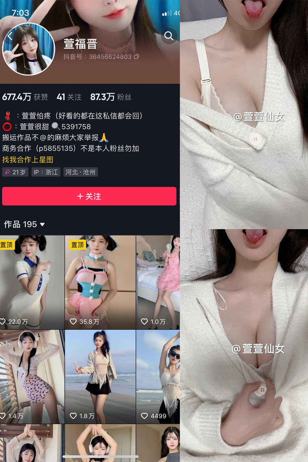 抖音 萱福晋 微密圈  NO.037期 【17P5V】最新至：2024.4.21-漫天菊花