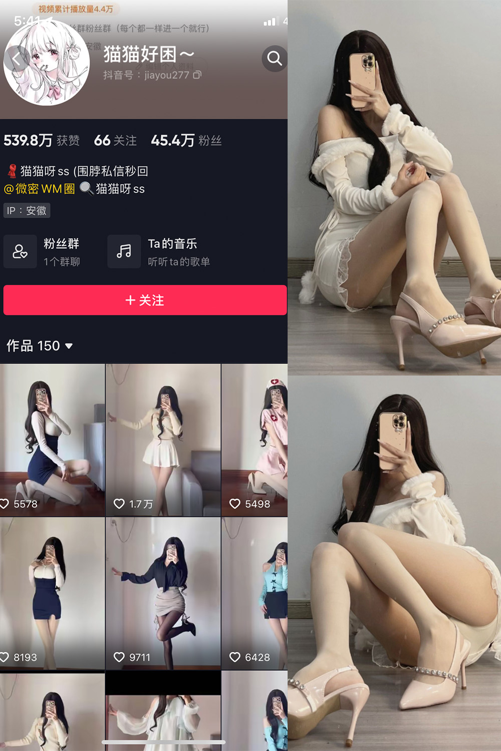 抖音 猫猫好困 微密圈  NO.030期 【81P】最新至：2024.4.29-漫天菊花