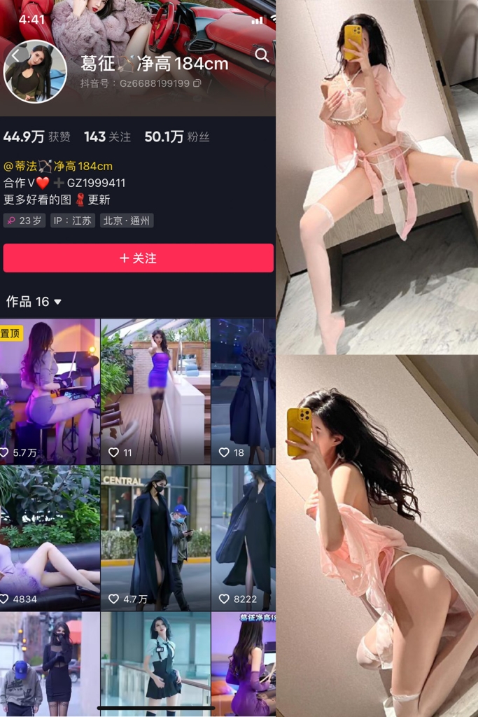 抖音 葛征 微密圈  NO.065期 【55P】最新至：2024.5.13-漫天菊花