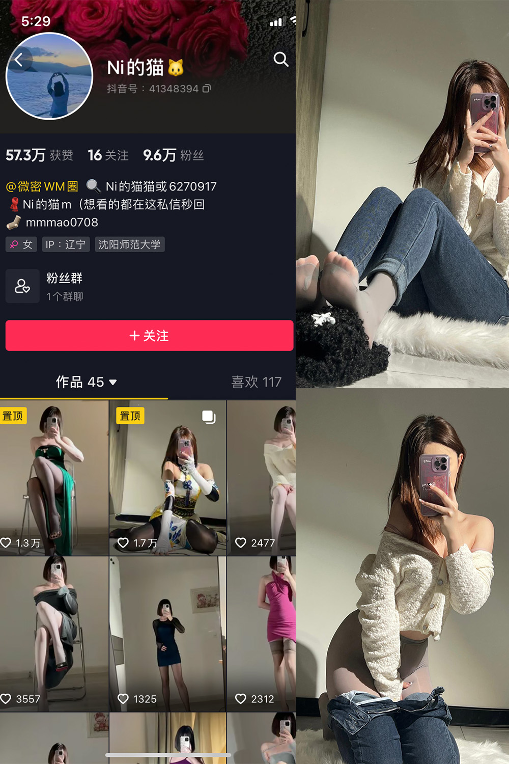 抖音 你的猫 微密圈 NO.002期 【33P】-漫天菊花