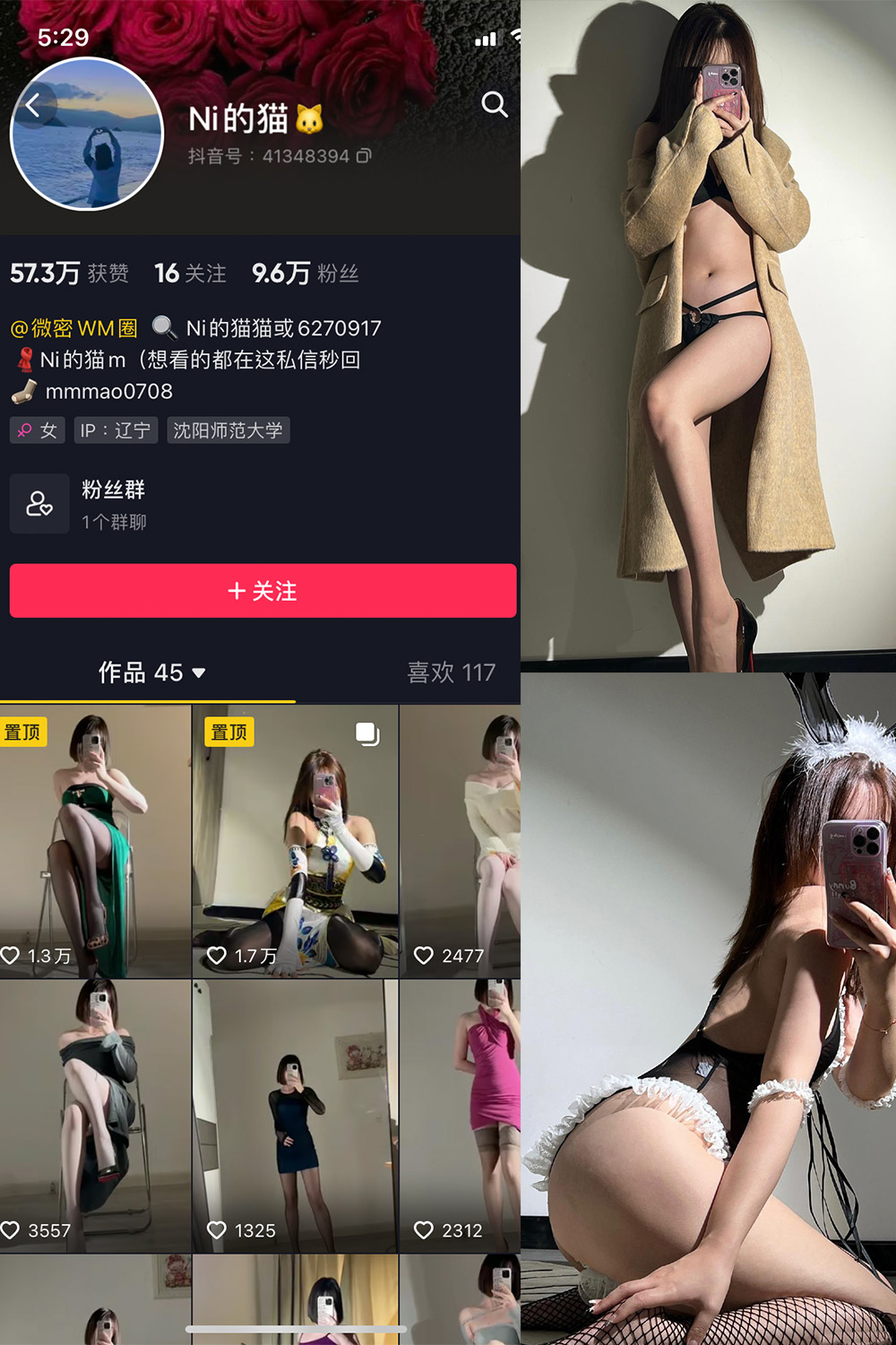 抖音 你的猫 微密圈 NO.005期 【43P】-漫天菊花