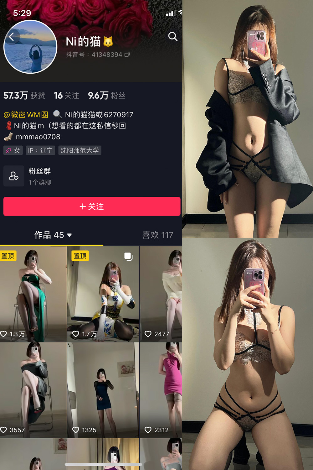 抖音 你的猫 微密圈 NO.006期 【30P】-漫天菊花