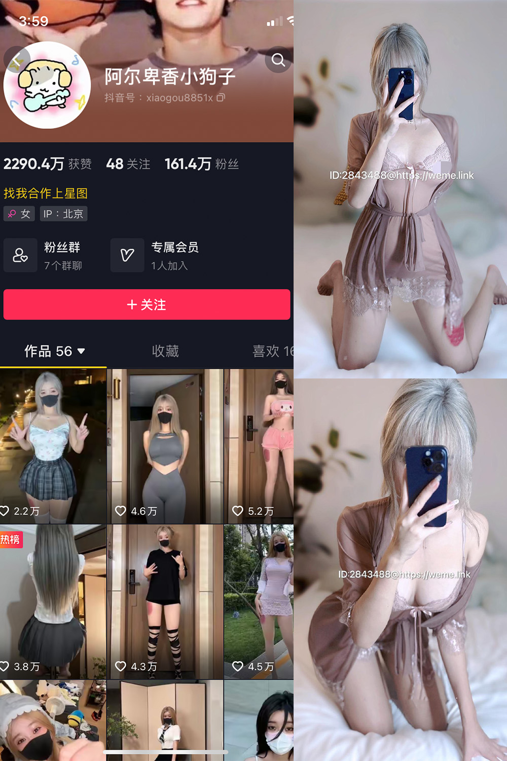 抖音 阿尔卑香小狗子 微密圈  NO.045期 【39P】最新至：2026.6.9-漫天菊花