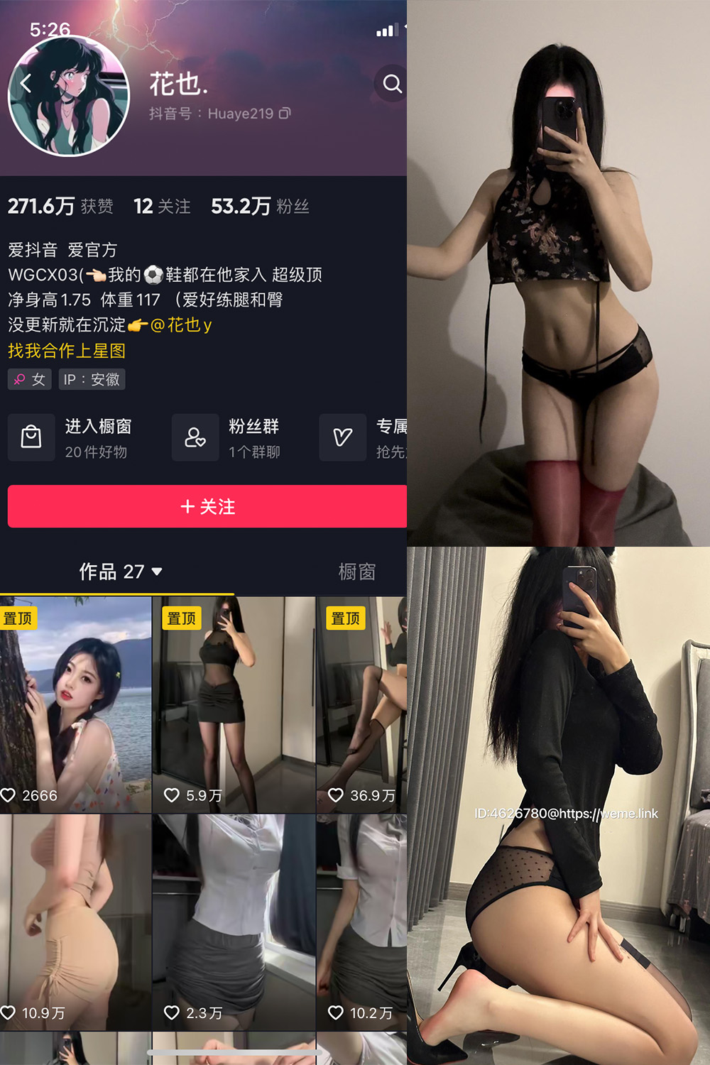 抖音 花也. 微密圈  NO.001期 【36P】-漫天菊花