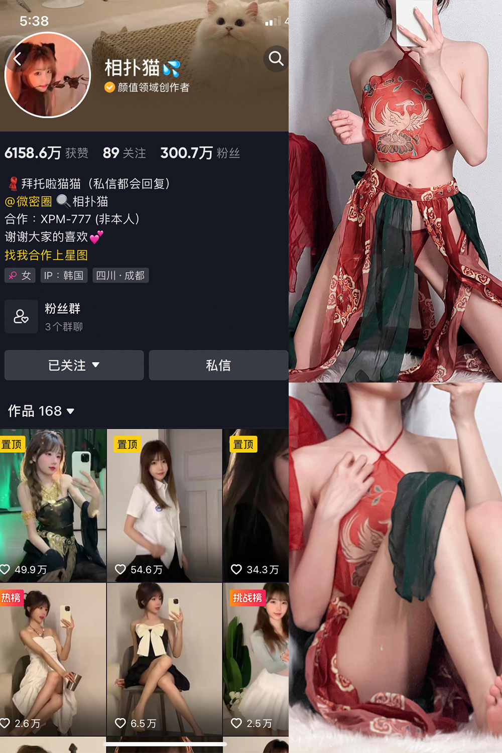 抖音 相扑猫 微密圈 嘉宾贴 NO.034期 【15P】最新至：2024.8.20-漫天菊花